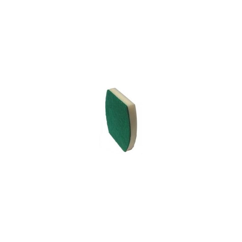 Pool Scrub Pads